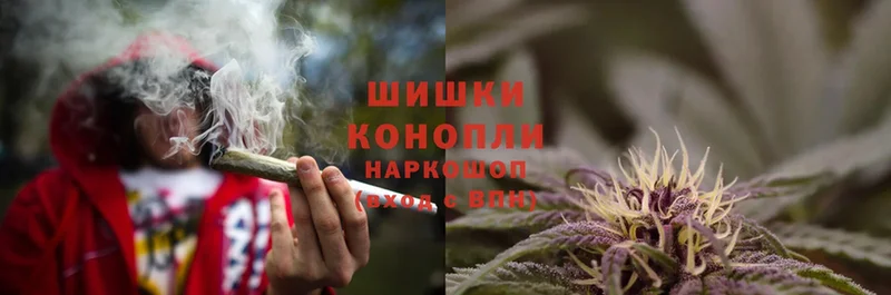 Шишки марихуана THC 21%  Кашин 